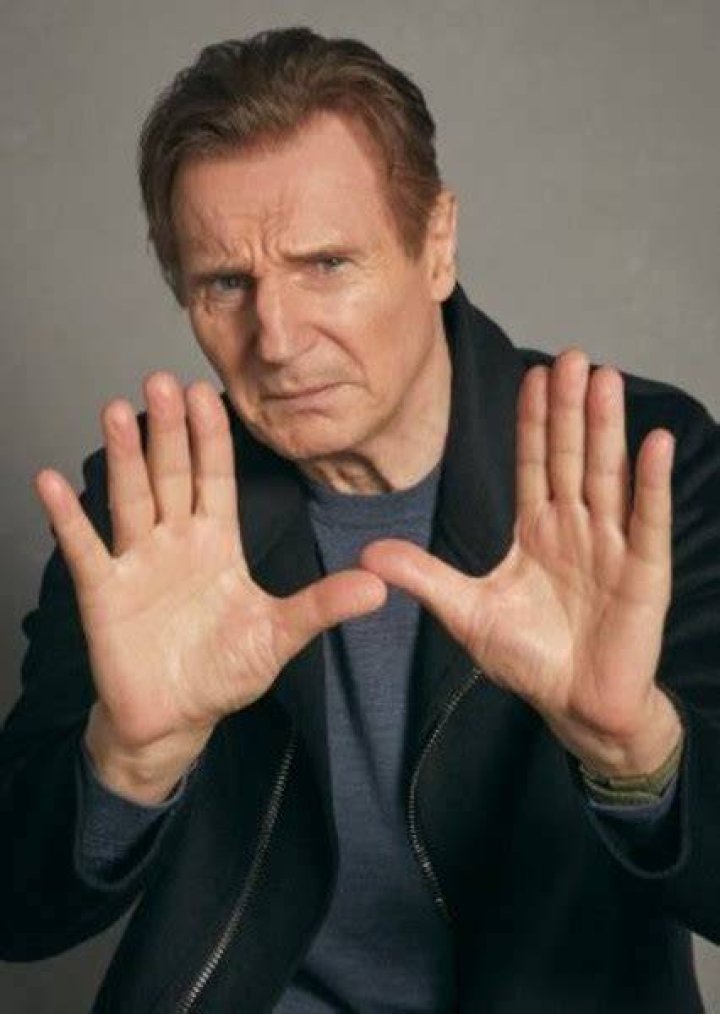 Fan Casting Liam Neeson as Narrator in Seeing the sights on myCast