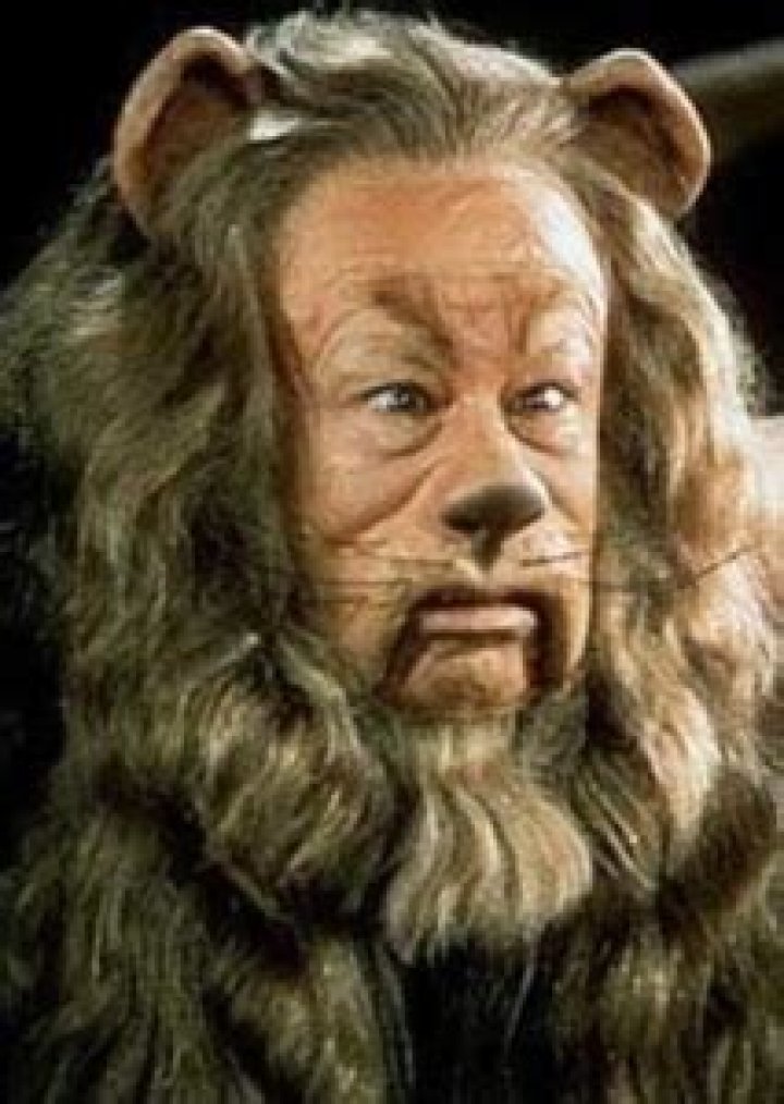 Fan Casting Matt Lucas as Cowardly Lion in The Wizard of Oz on myCast