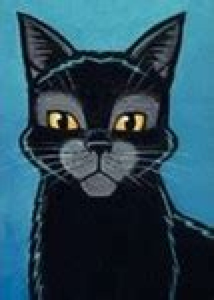Fan Casting Mousefur (Warrior Cats) as Aro in CANON Queer Characters on myCast