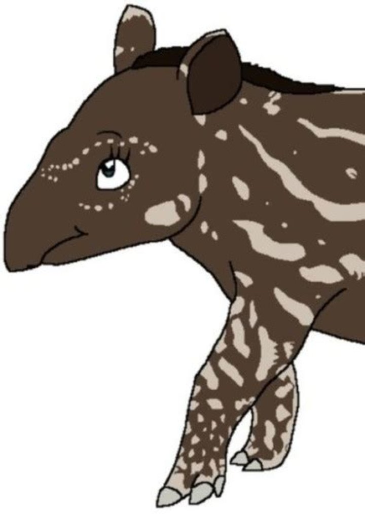 Fan Casting Munna (Pokemon) as Tapir in Fictional animals by species on myCast