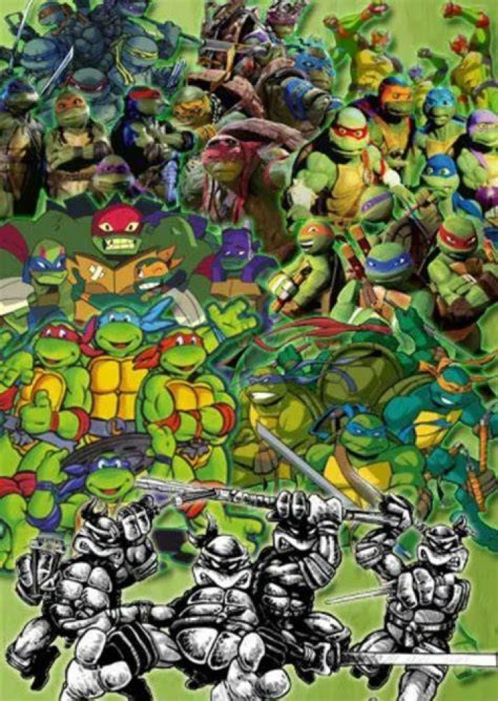 Fan Casting Ninjara as Best Supporting Character in Best & Worst of TMNT on myCast