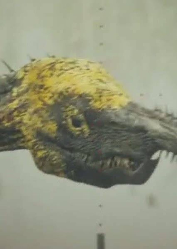 Fan Casting Swamp Locust as Creatures of Skull Island in Godzilla vs Kong:Guardians of Arcadia on myCast