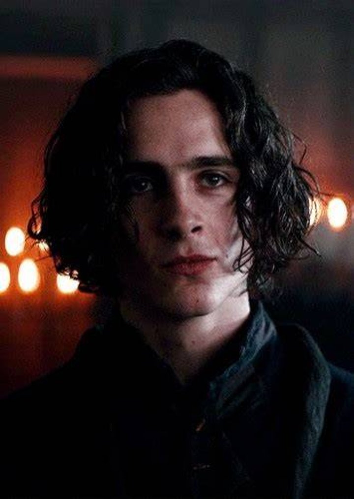Fan Casting Timothée Chalamet as Regulus Black in The Marauders on myCast