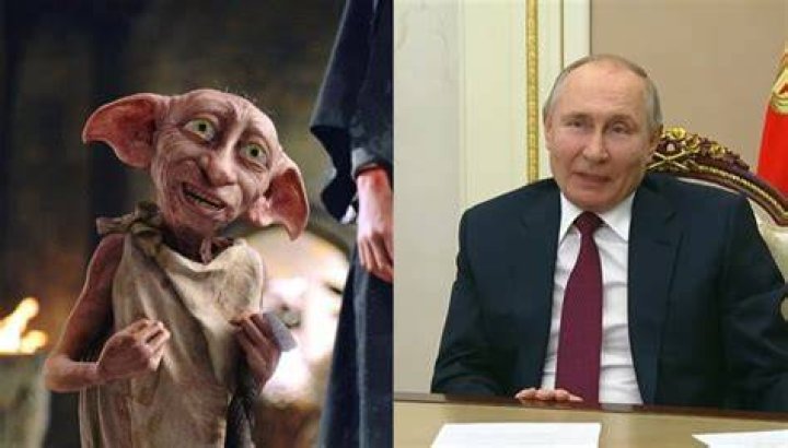 Fan Casting Vladimir Putin as Dobby in Harry Potter tv series on myCast