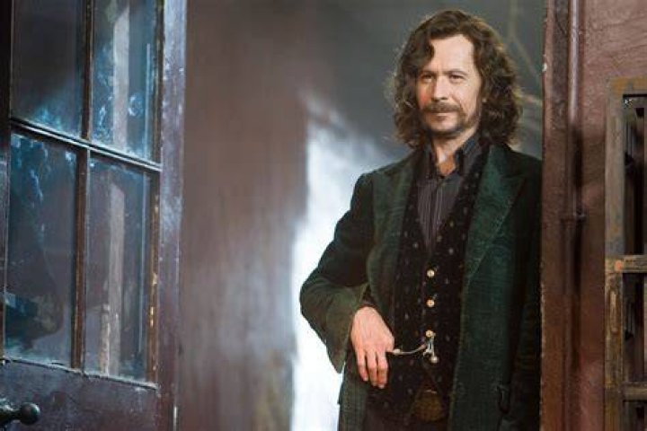 Find an Actor to Play Sirius Black (Young) in All The Young Dudes on myCast
