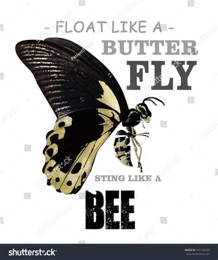Float Like a Butterfly, Sting Like a Bee: Meaning and Origin