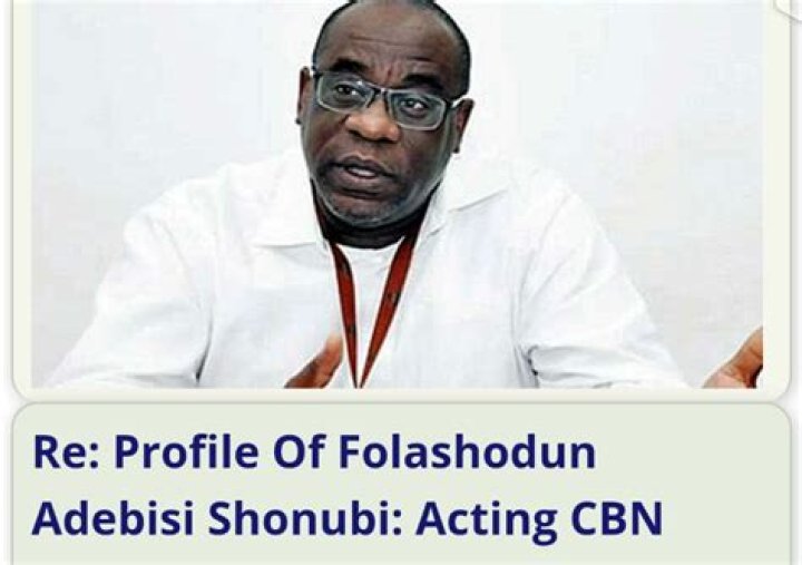 Folashodun Shonubi: The Rising Star In Finance And Technology