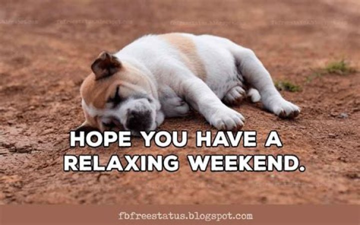 Funny & Happy Weekend Memes Quotes With Funny Weekend Images