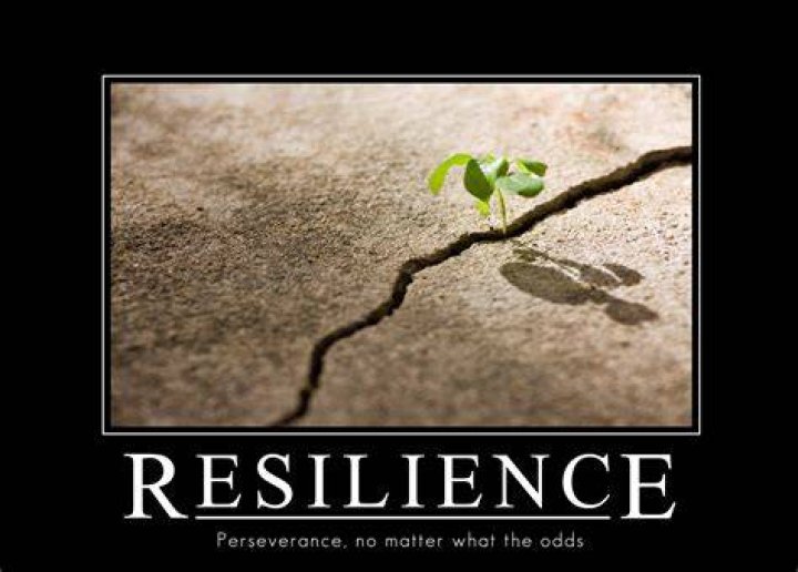Funny Quotes On Resilience. QuotesGram
