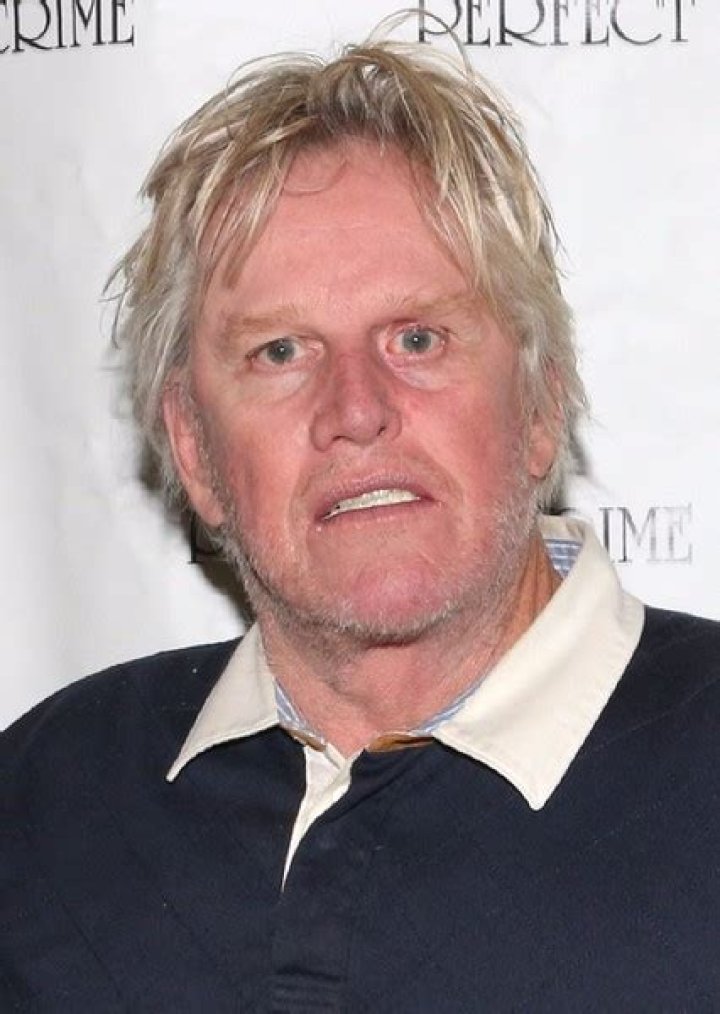 Gary Busey Fan Casting