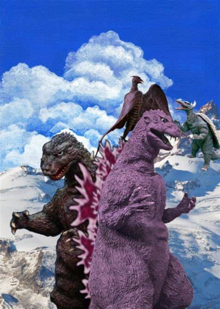 Godzilla's Mate Fan Casting for Influences to Designs (Redux) | myCast
