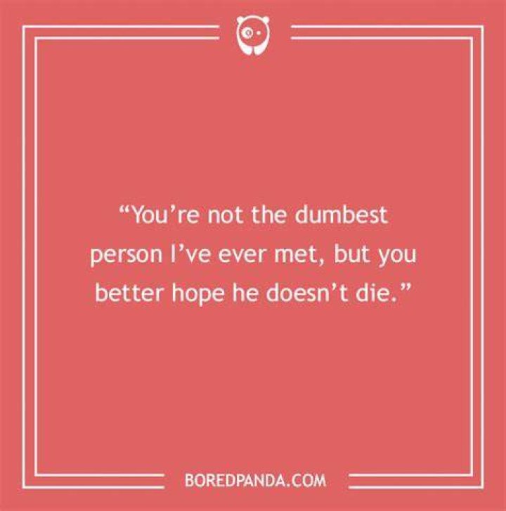 Guy Roast Lines / The Most Brutal Roasts From Reddit's Infamous Roast Me