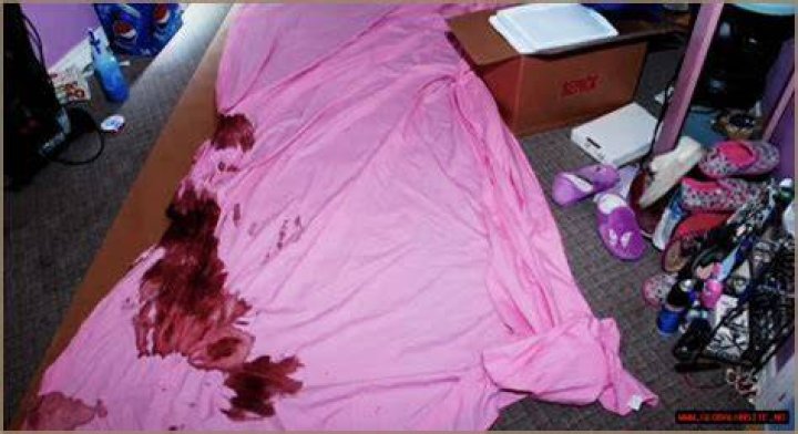 Gypsy Rose Crime Scene Photos: Unveiling The Truth Behind The Shocking Case