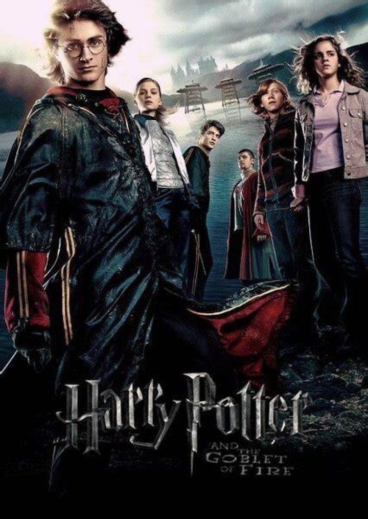 Harry Potter and The Goblet of Fire (2019) Fan Casting on myCast