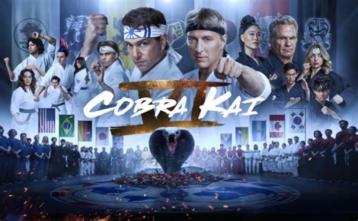 Hawk Height Cobra Kai: Unraveling The Art Of Martial Arts And Its Impact