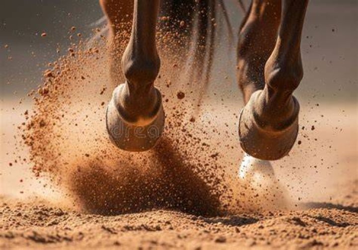 “He’s Fired Up”: Dynamic Equestrian Duo Gallops Across the Pond to Gear Up for
Fair Grounds Success