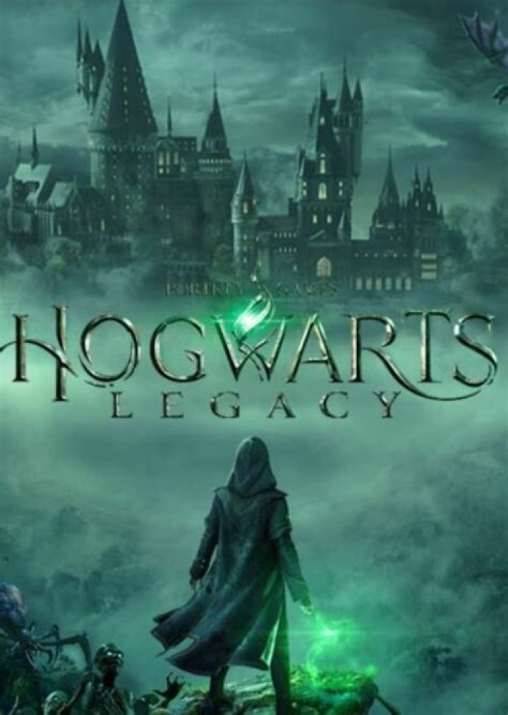 Hogwarts Legacy Fan Casting on myCast