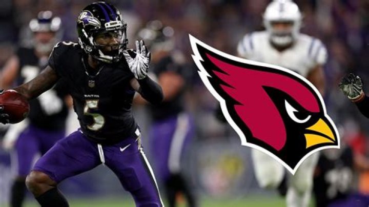 Hollywood-Brown-Cardinals