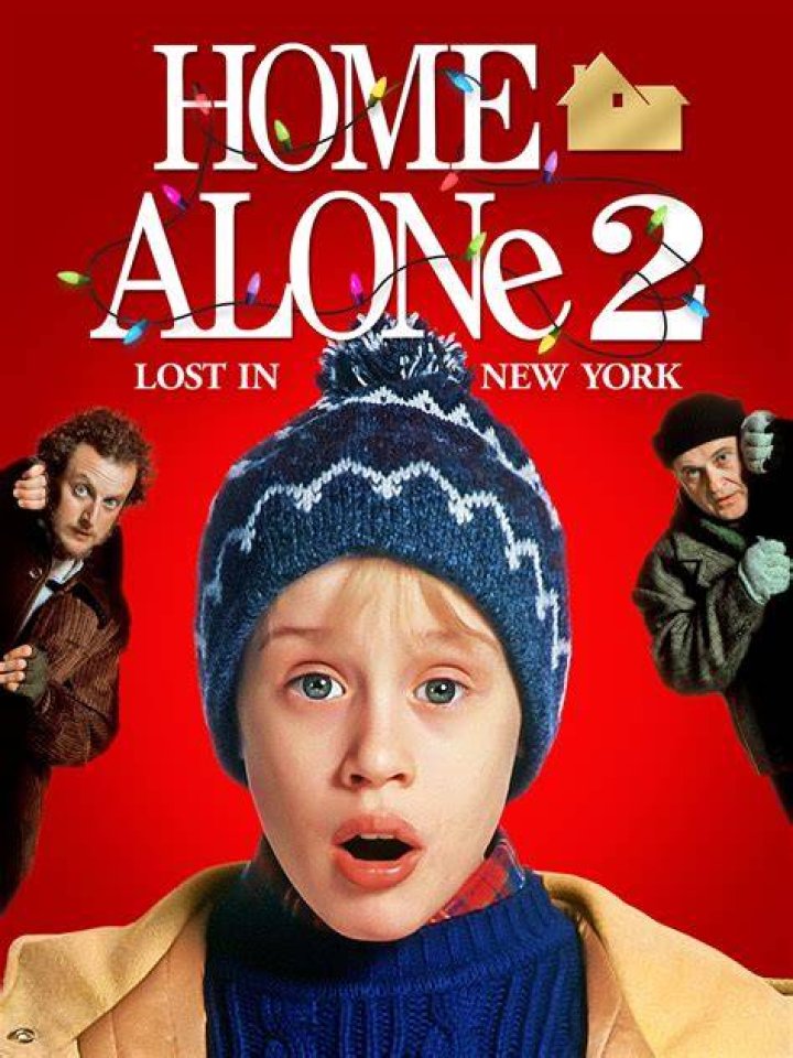 Home Alone 3: Lost in Walt Disney World (1990's)
