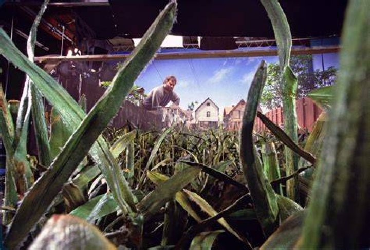 Honey , I Shrunk The Kids (remake)