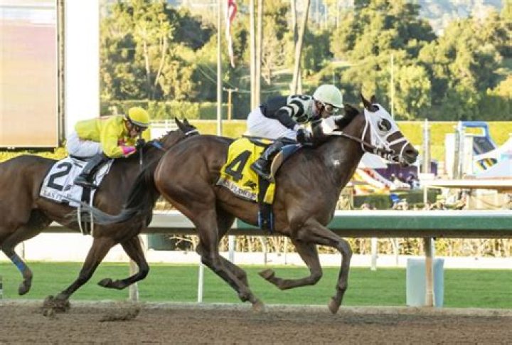 Horse Racing World Witness California-Bred Icon Take Home Grade III Victory in
Las Flores Stakes