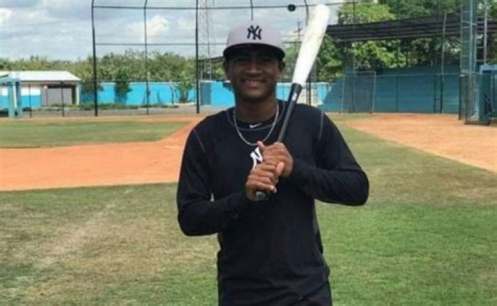 How Much Will New York Yankees Pay Roderick Arias, New Top International Talent
Signing?