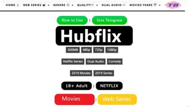 Hubflix Categories, Characteristics And All about It