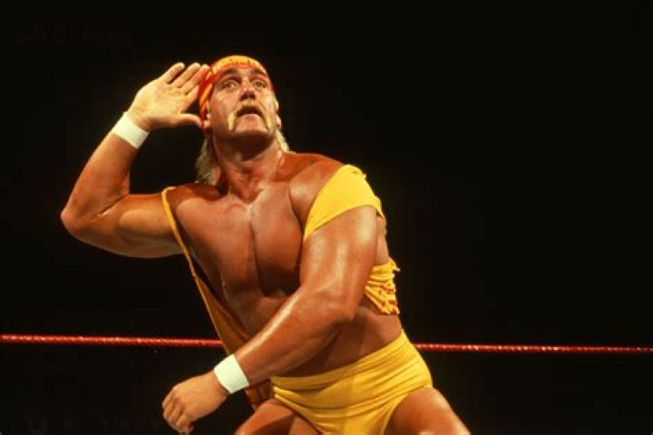 Hulk Hogan as Tigris of Gaul in Gladiator (2010)