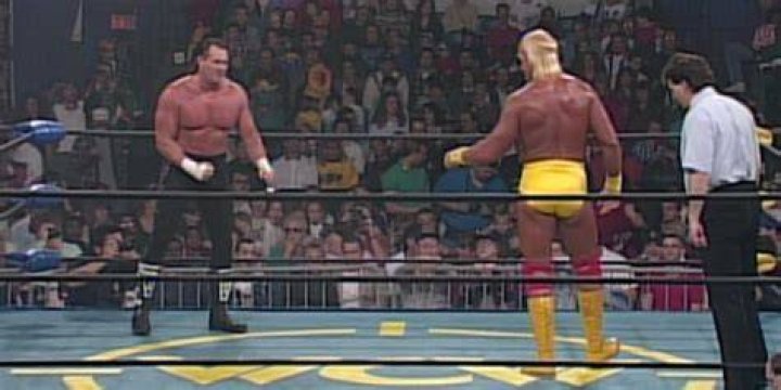 Hulk Hogan Butcher