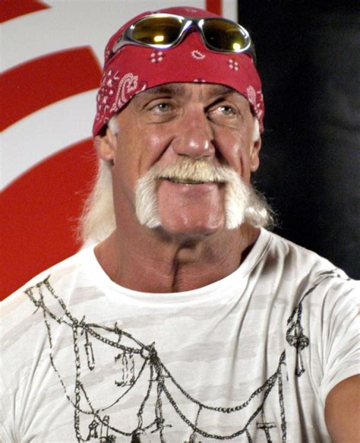 Hulk Hogan - Enzuigiri Cropped