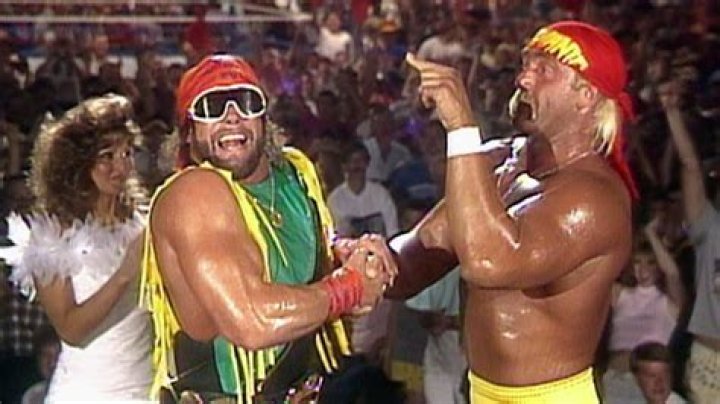Hulk Hogan, Randy Savage, Scott Steiner, Ric Flair, Goldberg, Outsiders