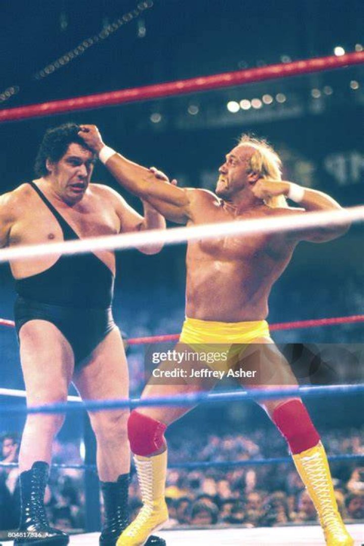 Hulk Hogan v The Giant Halloween Havoc 1995