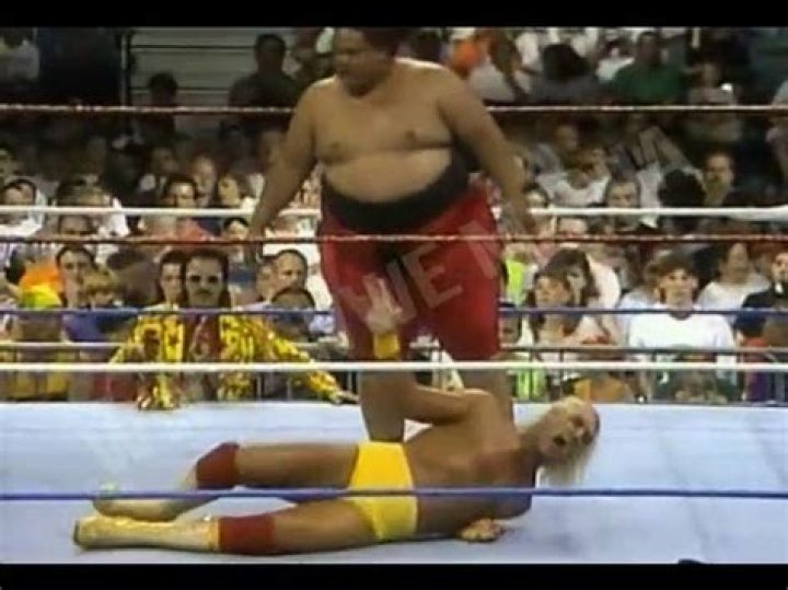 Hulk Hogan v Yokozuna King Of The Ring 1993 