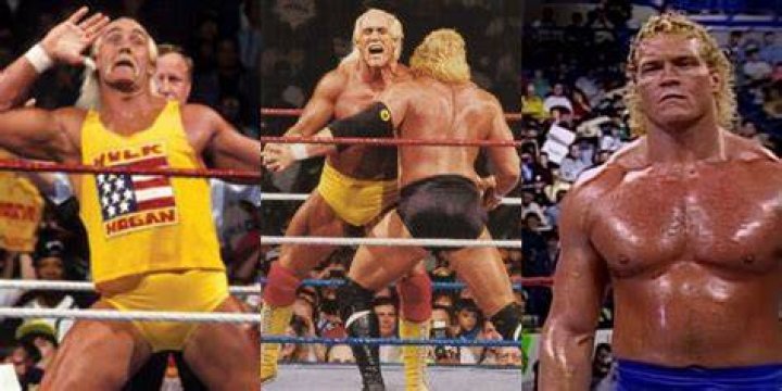 Hulk Hogan Vs Sid