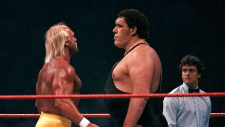 Hulk Hogan Vs The Giant