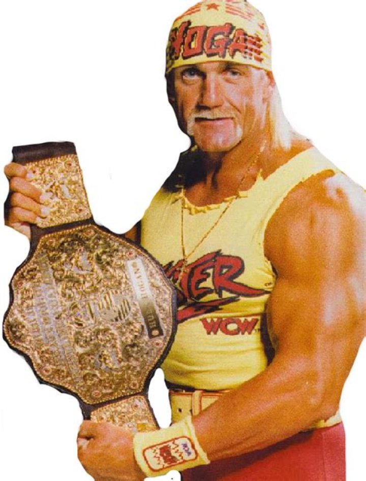Hulk Hogan WCW Champion Cropped-2