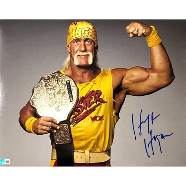 Hulk Hogan WWE Champ