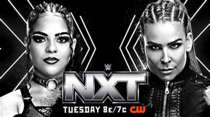 Ivelisse vs Natalya in NXT