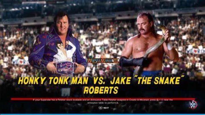 Jake Roberts vs Honky Tonk Man