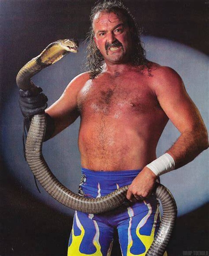Jake Roberts 
