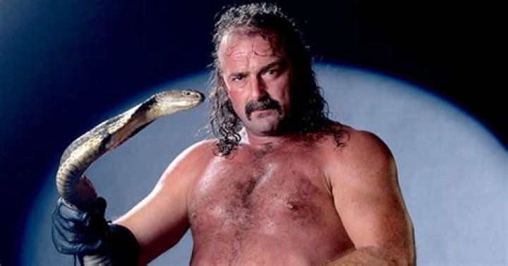 Jake The Snake And DDP 