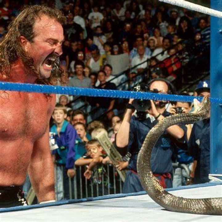 Jake The Snake Grisly Beginnings