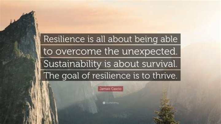 Jamais Cascio Quote &ldquo;Resilience is all about being able to