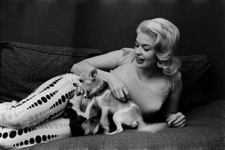 Jayne Mansfield Rare Photos of a PopCulture Icon