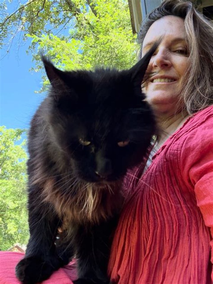 Joyce Vance Fashion, Joyce, Cat eye glass