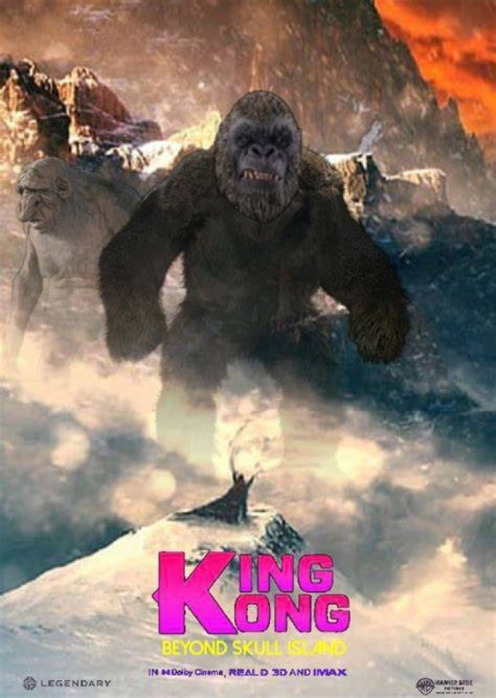 King Kong Fan Casting on myCast