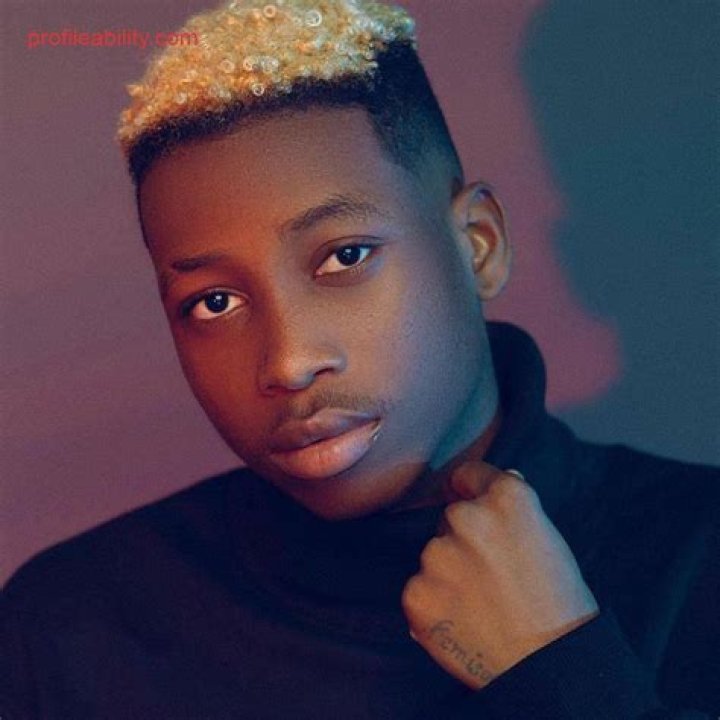Lil Frosh: The Rise Of A Nigerian Music Sensation