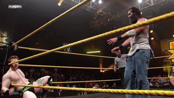 Luke Harper Vs Sheamus WWE NXT