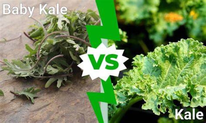 MİLYONER KALE VS FAKİR KALE 😱 MİNECRAFT YouTube