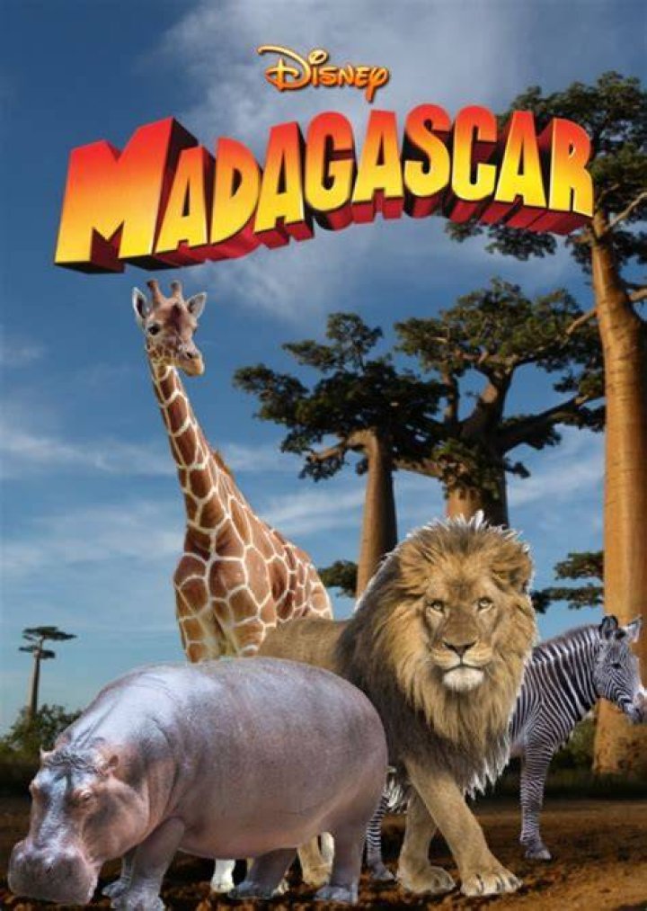 Madagascar Fan Casting